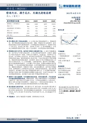 修炼内功，携手龙头，光储充持续高增