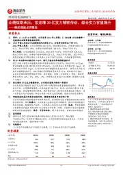 绿的谐波点评报告:业绩短期承压;拟定增20亿发力精密传动,综合实力有望提升