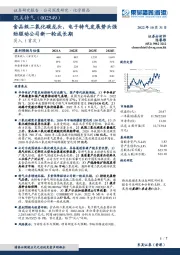 食品级二氧化碳龙头，电子特气发展势头强劲驱动公司新一轮成长期