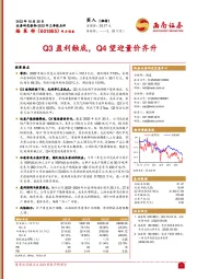 Q3盈利触底，Q4望迎量价齐升