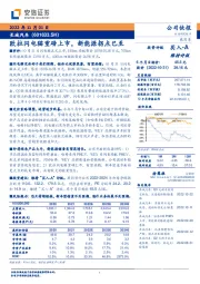 欧拉闪电猫重磅上市，新能源拐点已至