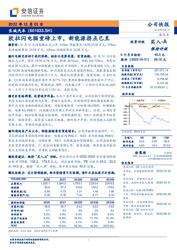 欧拉闪电猫重磅上市，新能源拐点已至