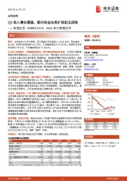 2022年三季报点评：Q3收入增长提速，新兴安全业务扩张初见成效