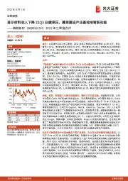 2022年三季报点评:显示材料收入下降22Q3业绩承压,募资建设产业基地培育新动能
