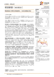 整装渠道助力零售业务稳健增长，大家居战略稳步推进