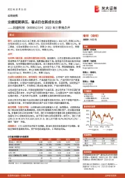 2022年三季报点评：业绩短期承压，看点仍在新成长业务