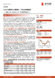 系列跟踪报告之二：22Q3业绩同比大幅增长，平台化持续推进