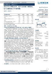 2022年三季报点评:受产品价格下调影响,Q3业绩略低于市场预期