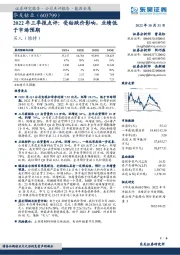 2022年三季报点评：受钴跌价影响，业绩低于市场预期