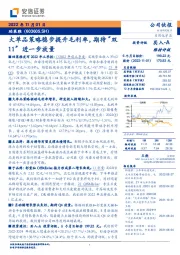 大单品策略稳步提升毛利率，期待“双11”进一步放量