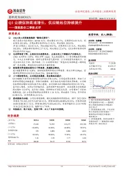 国联股份三季报点评：Q3业绩保持高速增长，供应链地位持续提升