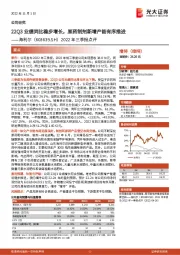 2022年三季报点评：22Q3业绩同比稳步增长，原药制剂新增产能有序推进