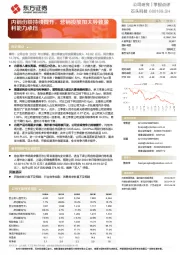 内销份额持续提升，营销投放加大导致盈利能力承压