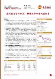 盈利能力暂时承压，静待浆价回落吨盈改善