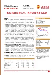 新品SoC陆续上市，静待运营商招标落地