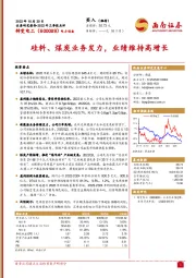 硅料、煤炭业务发力，业绩维持高增长