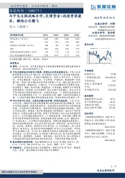 与中电互联战略合作,定增资金+战投资源兼具,静待公司腾飞