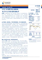 22Q3业绩整体表现靓丽，龙头市占率有望保持提升