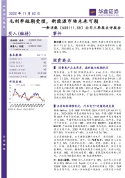 公司三季报点评报告：毛利率短期受损，新能源市场未来可期