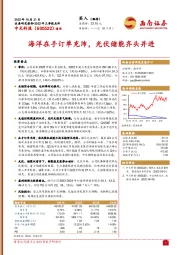 海洋在手订单充沛,光伏储能齐头并进
