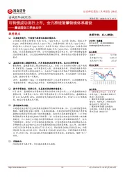 嘉诚国际三季报点评:可转债成功发行上市,全力推进智慧物流体系建设