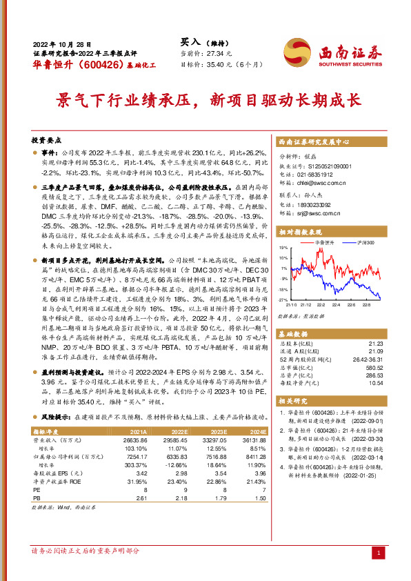 景气下行业绩承压，新项目驱动长期成长