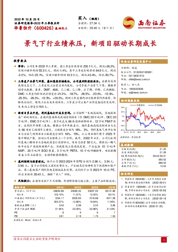景气下行业绩承压，新项目驱动长期成长