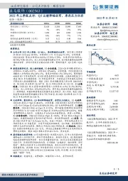 2022年三季报点评:Q3业绩降幅收窄,库存压力仍存