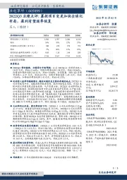 2022Q3业绩点评： 募投项目变更加快全球化布局，盈利有望逐季恢复