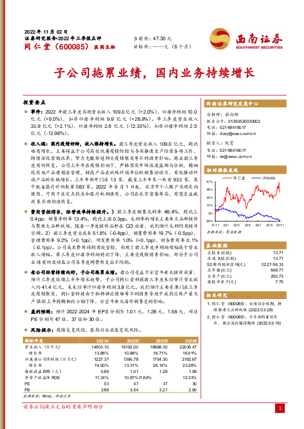 子公司拖累业绩，国内业务持续增长