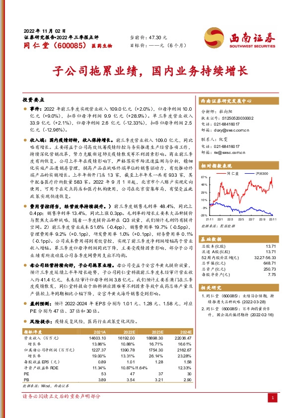 子公司拖累业绩，国内业务持续增长