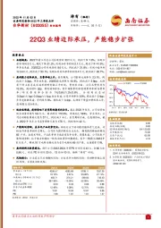 22Q3业绩边际承压,产能稳步扩张