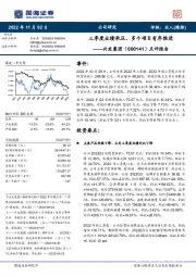 点评报告:三季度业绩承压,多个项目有序推进