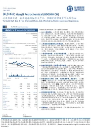 公司季报点评：打造高端精细化工产业，短期受检修及景气低位影响