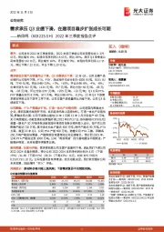 2022年三季度报告点评：需求承压Q3业绩下滑，在建项目稳步扩张成长可期