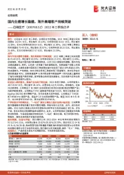 2022年三季报点评:国内业绩增长稳健,海外高端客户持续突破