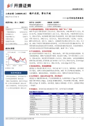 公司信息更新报告：稳中求进，势头不减