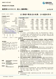 Q3困境中彰显龙头优势，Q4迎量利齐升
