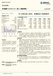 Q3大单品收入承压，连锁效应下拖累盈利