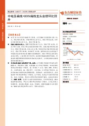 2022年三季报点评：中电压扁线+800V扁线龙头业绩环比回升