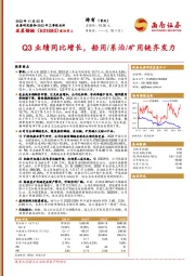 Q3业绩同比增长,船用/系泊/矿用链齐发力