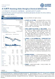 公司季报点评：布局液态六氟磷酸锂，拓宽锂电材料产品矩阵