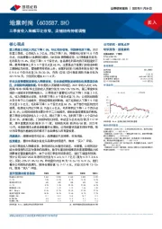 三季度收入降幅环比收窄，店铺结构持续调整