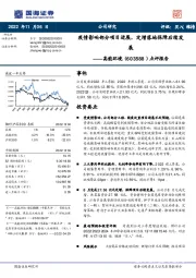 点评报告：疫情影响部分项目进展，定增落地保障后续发展