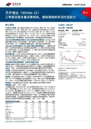 三季度克服多重因素挑战，维持强劲的利润兑现能力