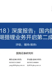 深度报告：国内膜法分离技术龙头，盐湖提锂业务开启第二成长曲线