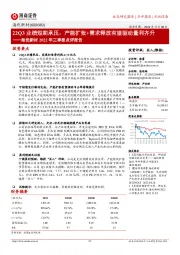 海优新材2022年三季报点评报告：22Q3业绩短期承压，产能扩张+需求释放有望驱动量利齐升