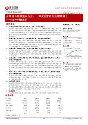 中国神华覆盖报告：全球综合能源龙头企业，一体化运营助力业绩稳增长