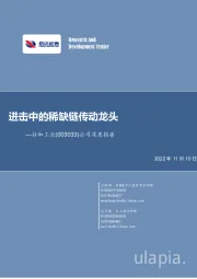 公司深度报告：进击中的稀缺链传动龙头