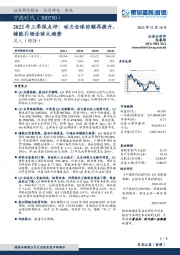 2022年三季报点评:动力全球份额再提升,储能引领全球大趋势
